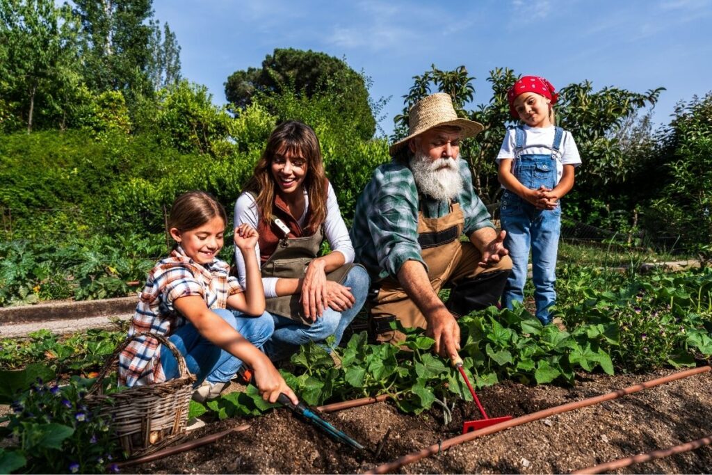 beste planter for nordiske hager