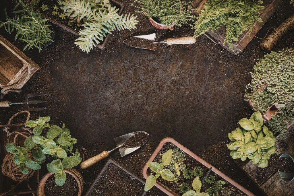 hageplanlegging for nybegynnere