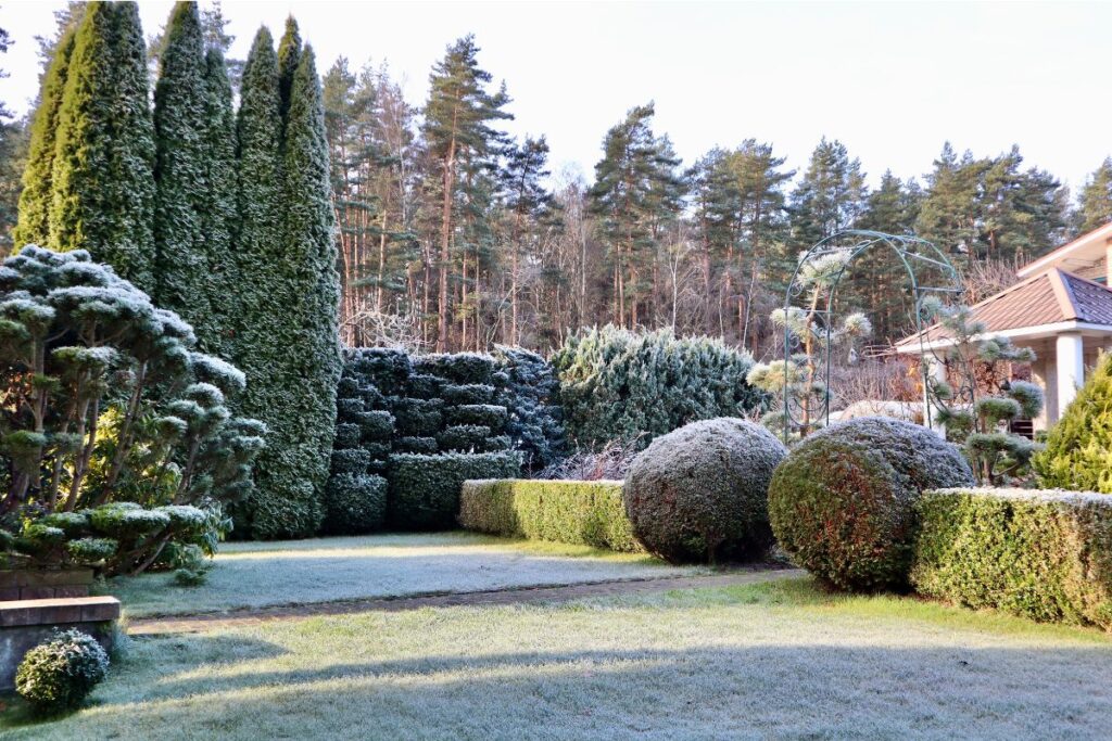 Vinterhage som verdiøkning