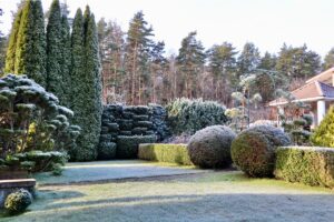 Vinterhage som verdiøkning